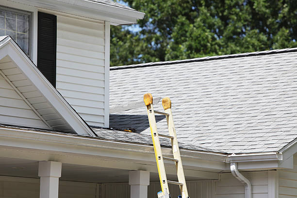 Best Shed Removal  in Merryville, LA