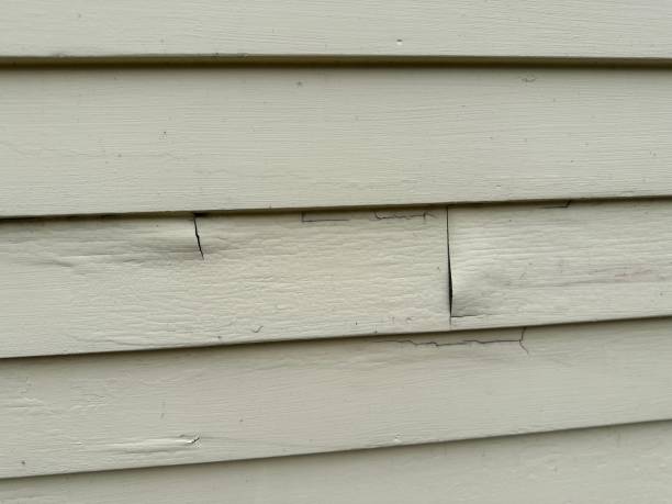Best Shed Removal  in Merryville, LA